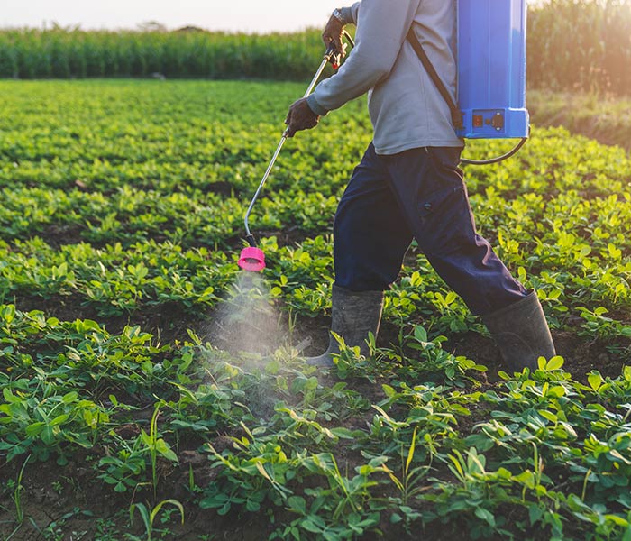 concimi-e-fertilizzanti-per-terreno