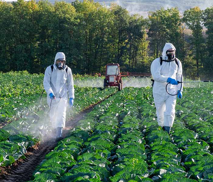 fornitura-di-biostimolanti-per-raccolto