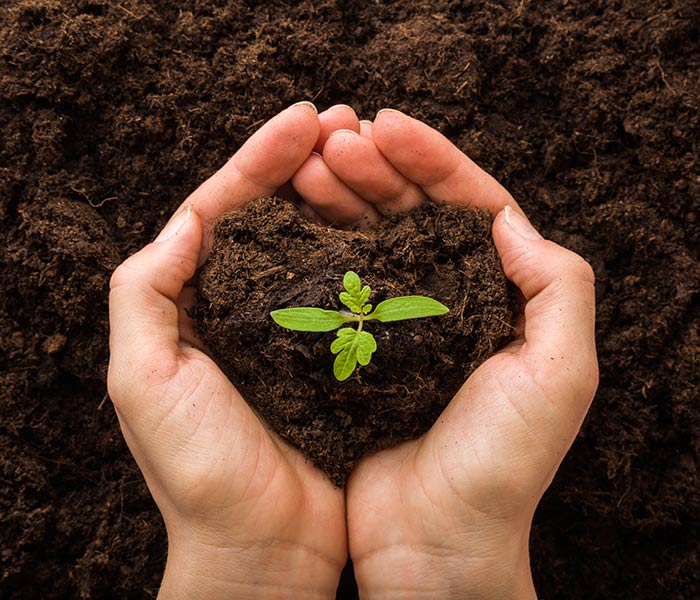 prodotti-per-agricoltura-e-fertilizzanti