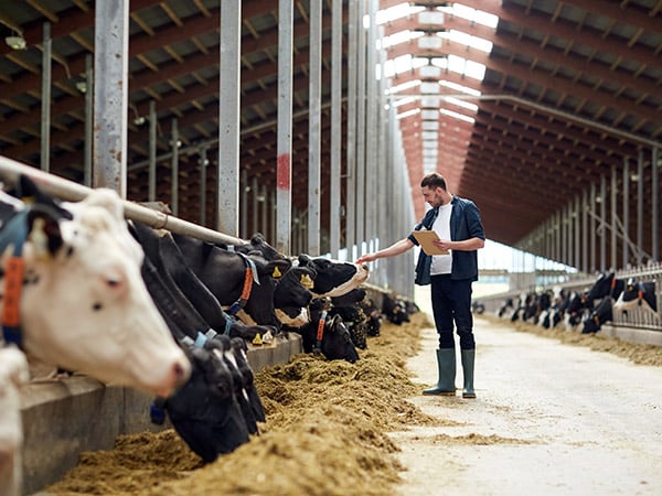 punto-vendita-per-integratori-e-farmaci-per-animali